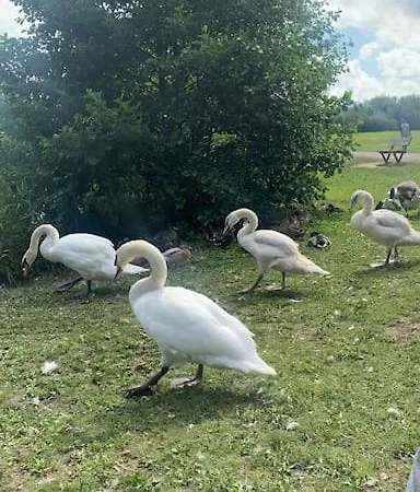 Charmante Maison Avec Terrasse - & 100m ! * Villers-sur-Mer