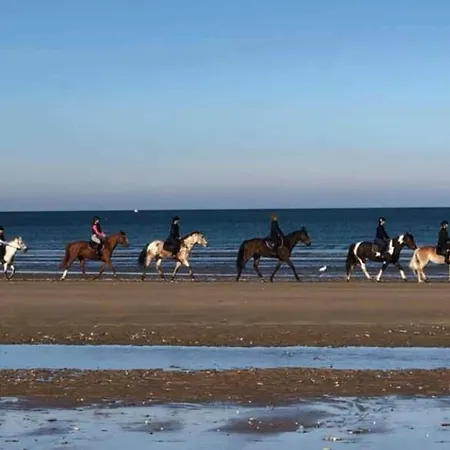 Charmante Maison Avec Terrasse - & 100m ! Apartmán Villers-sur-Mer