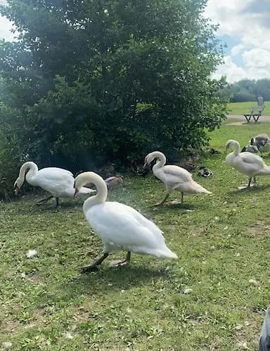 Charmante Maison Avec Terrasse - & 100m ! * Villers-sur-Mer