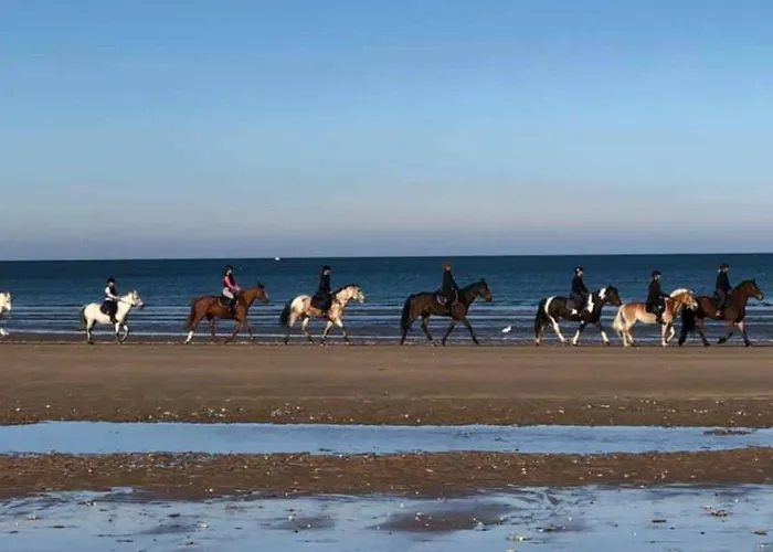 Charmante Maison Avec Terrasse - & 100m ! شقة فيلي سور مير